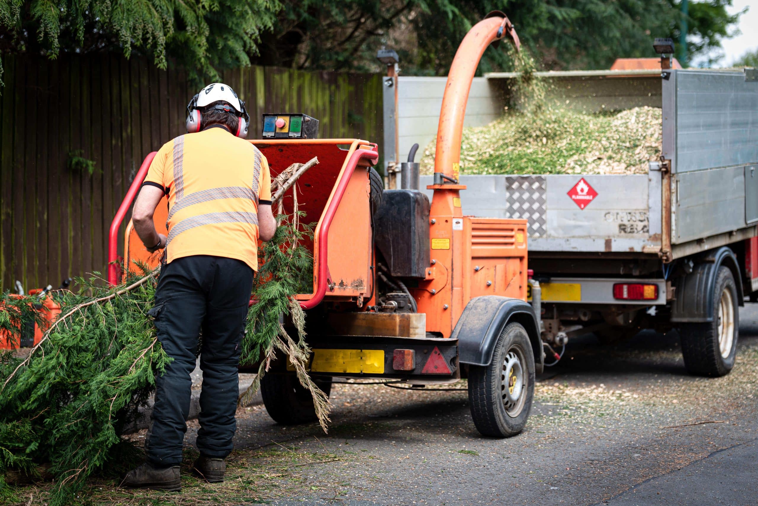 Tree Stump Grinding/Removal Shortlands BR2